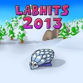 Labhits 2013