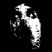twitter pfp