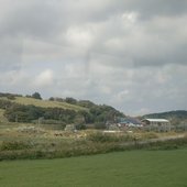 Weideland