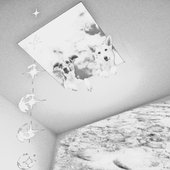 BATHED IN SKYLIGHT