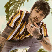 ZAYN