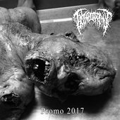 Promo 2017