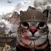 Avatar di Xinxenxon