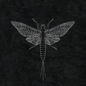 Avatar for Reusoch