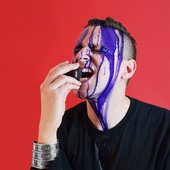 VeilOfLight_Promo2017.jpg