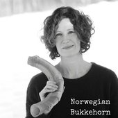 Norwegian Bukkehorn