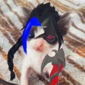 Avatar for Caaric