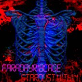STARDUST:WITHIN