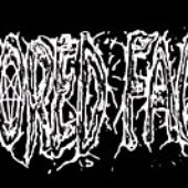 None