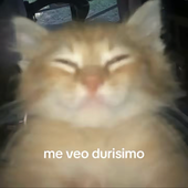 Avatar for textoapocrifo