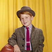 Young Ron Howard