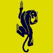 Panther Cat Animal