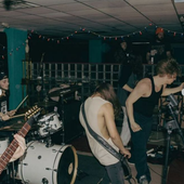 Live Show