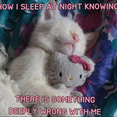 eepymeowmeow21 的头像