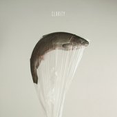 CLARITY