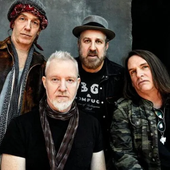 Spin Doctors