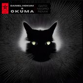 Gato Negro (Daniel Hokum & Okuma Remix)