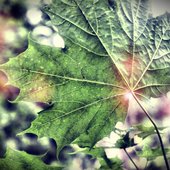 IMG-20170711-WA0153.jpg