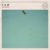 blurrybird