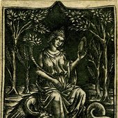 00536391_001.jpg