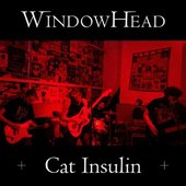 Cat Insulin