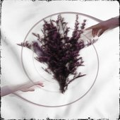 Limerence [Explicit]
