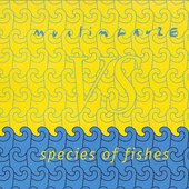 Muslimgauze vs Species of Fishes