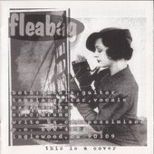 fleabag.jpg