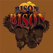 Bison Bison