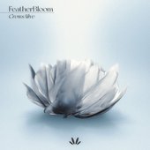 FeatherBloom
