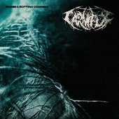 Roses & Rotting Corpses - Single