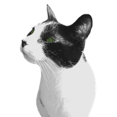 Avatar for medlnic15