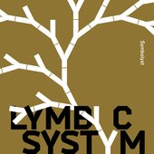 Symbolyst Front Cover