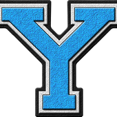 Y logo