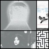 DES PERSONA LISA CIÓN