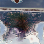 Avatar for Hidrosoluble
