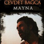 cevdet bagca