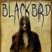 BBird666 için avatar