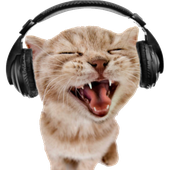 Avatar for emilygp