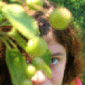 Avatar für scattrbrain