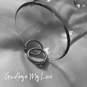 Goodbye My Love - Single