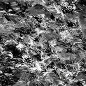 CnP_04052025_011435.png