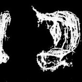 3540428828_logo.jpg