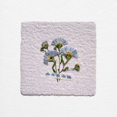 На зелёных холмах - Single