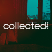 CollectedVibes 的头像