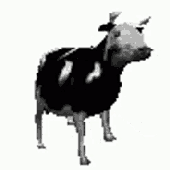 Polska_krowa.gif