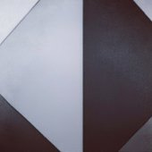 ADVERTISEMENT (NY band) promo