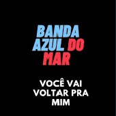 Você Vai Voltar pra Mim