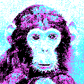 uneducatedchimp için avatar