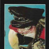 j17vx86xOaA.jpg